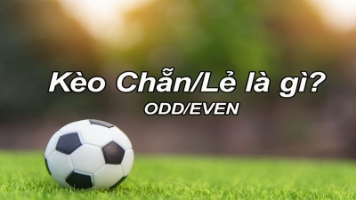 Hướng dẫn cách soi kèo chẵn lẻ trong bóng đá chi tiết nhất